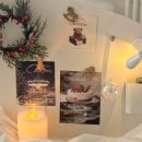 무드무드 이미지