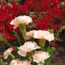 등대공인중개사사무소 이미지