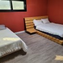 클럽더독스 이미지