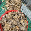 평택식당 이미지