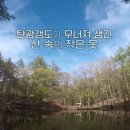 풍진 이미지