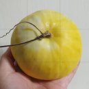 추억정원 이미지