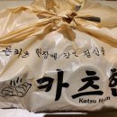 카츠현(성서점)