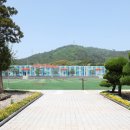 우곡초교 이미지