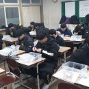 대자중학교 이미지