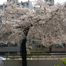 방화근린공원 이미지