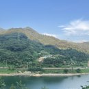 곤충나라 사과테마파크 오토캠핑장 | 경북 예천, 애견동반 캠핑장 &#39;곤충나라 사과테마파크 오토캠핑장&#39; 아기랑함께 5번사이트