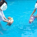 누리다 애견펜션 이미지