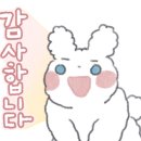 루프37.2도 이미지