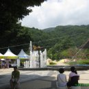 예천곤충연구소 티스토리