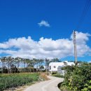 새천년공원길 이미지