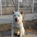 한수농장 이미지