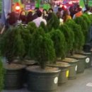 강남-220 이미지