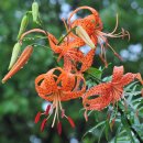 남양초등학교 이미지