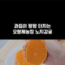 형제 농장5 이미지