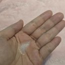더깨끗한 필더 미세플라스틱여과 화장품 브라더스 체험 후기