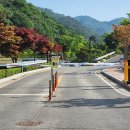 서운산 자연휴양림 자동차야영장 이미지