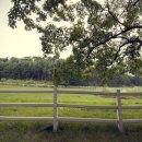 하얀목장 이미지