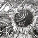 서대전여자고등학교 이미지