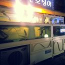 청정산오징어