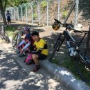 탄현면사무소 이미지