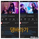 댕바라기 이미지