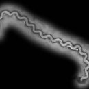 울산동물약국 이미지