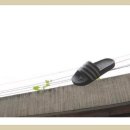 신나는 날 이미지