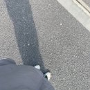 (주)일본요리점 청산 | [취업] 일본 도쿄 일상 48 (이직 후 새로운 회사에 첫 출근한 한 주)