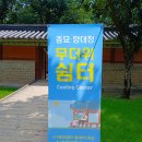 하늘에서 내려온 봉황(鳳凰) 이미지