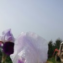 금지면 택촌마을 이미지