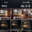 위미그라스 이미지