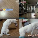 호돌이농장 이미지