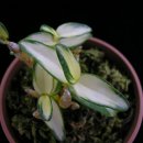 백양농장 이미지