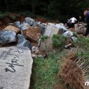 기억의대지 이미지