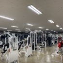 육체미 휘트니스 이미지