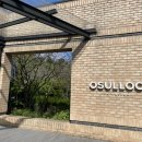 이니스프리 | [제주/서귀포] 🌿 제주 오설록 &amp; 이니스프리 하우스 방문 후기