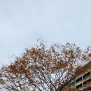 쉐르빌온천관광호텔 | 양평 쉐르빌 온천 호텔 솔직 후기 |힐링 유황온천 여행 | 양평 온천 추천