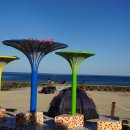 명태의 꿈(아트벤치 이미지