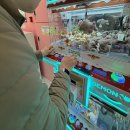 제노피시방 | [#방어좋아🤤] 내돈내산 연남동 바다회 사랑 주말 웨이팅/포장후기/영업시간/주차