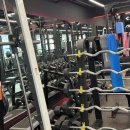 팀하드 피트니스 이미지