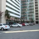 백송한신@ 이미지