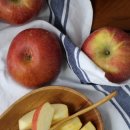 성문 농장 이미지