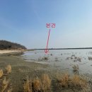 화도면-3 이미지