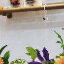 마루꽃집