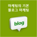 샐피 이미지