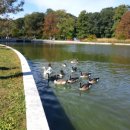 안녕네모 이미지