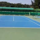 모덕체육공원 테니스장 이미지