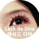 래쉬드디바