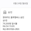 6월24일 네이트 키워드 광고료 결재 이미지